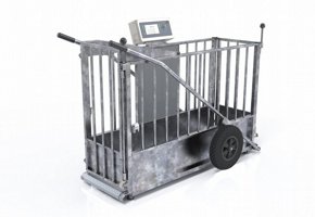 Picture of Weight crate and weigh base